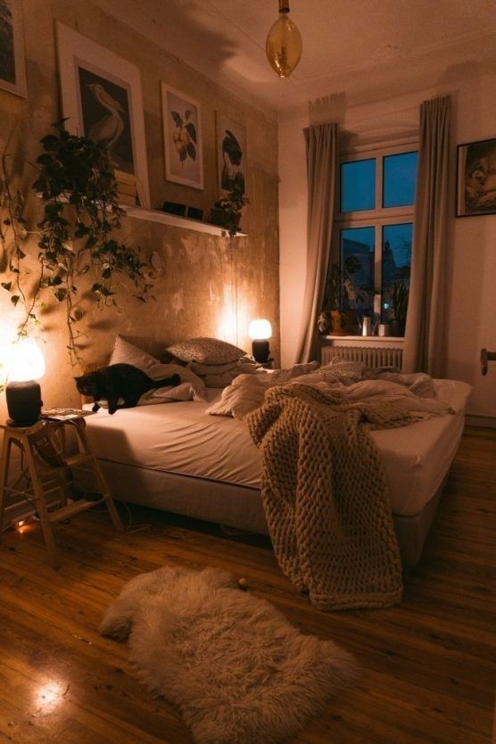 Mysigt sovrum med dämpad belysning, bäddad säng och svart katt
